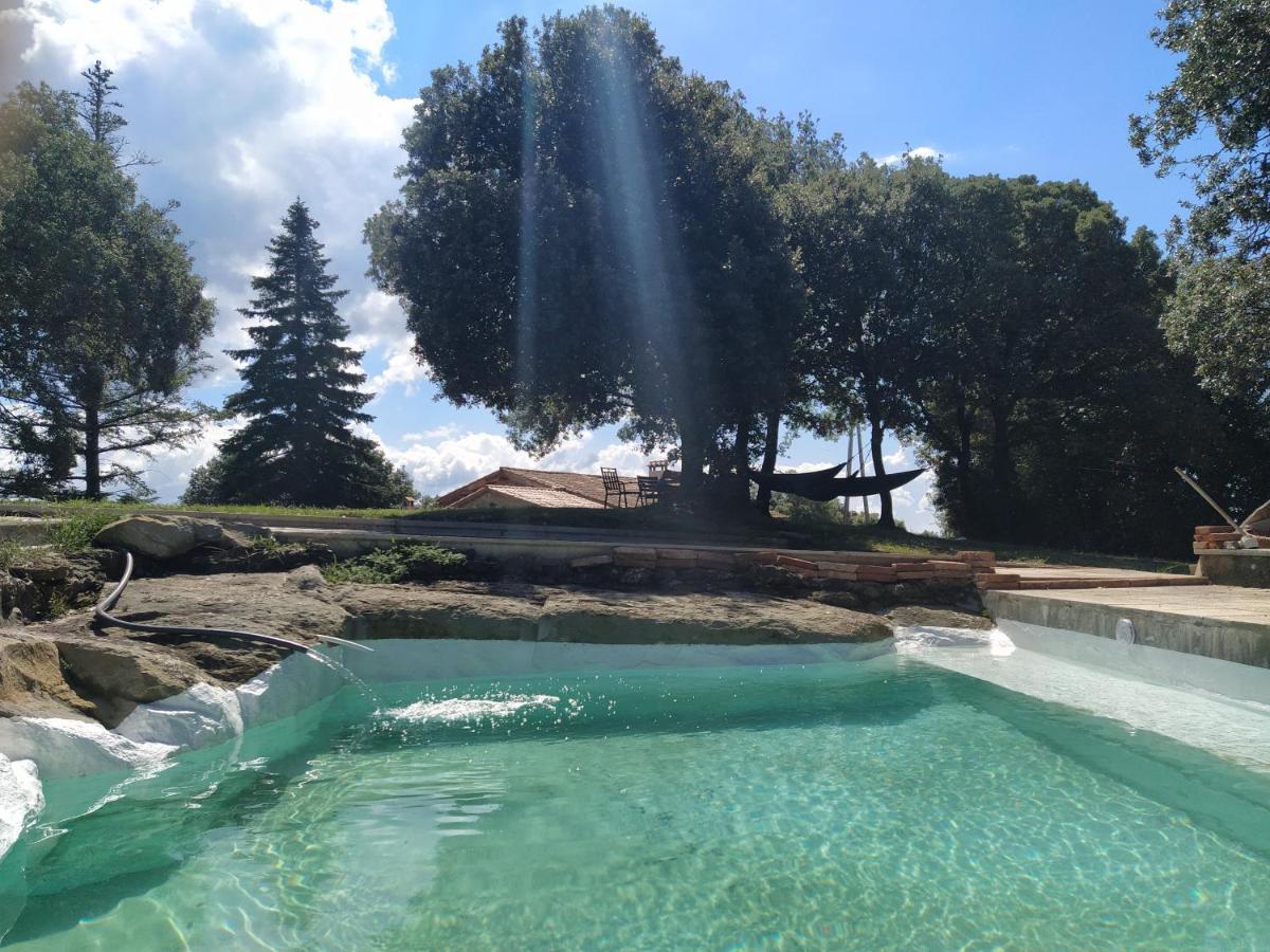 La Caseta De El Llancis Santa María de Corcó エクステリア 写真