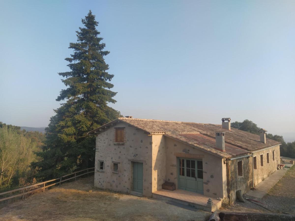 La Caseta De El Llancis Santa María de Corcó エクステリア 写真